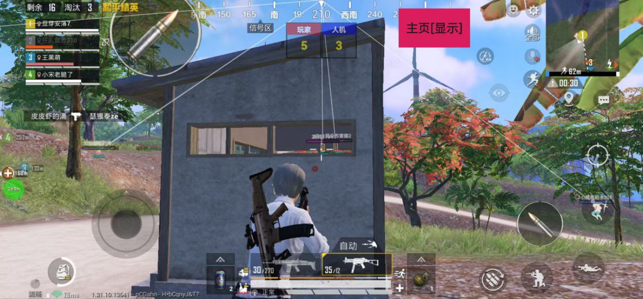 和平精英【鸡冠】直装辅助