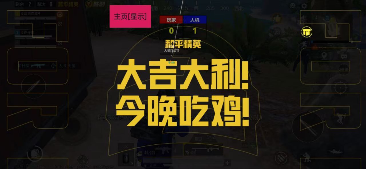 和平精英内核【幽灵漏打】辅助透视自瞄