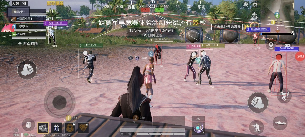和平精英【大白鲨】辅助
